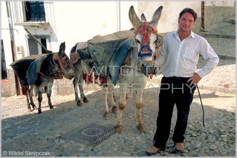 Man and donkeys in Granada, Spain
