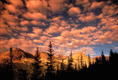 061187.gif