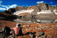 061188.gif